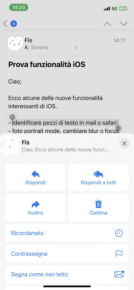 Citazioni email